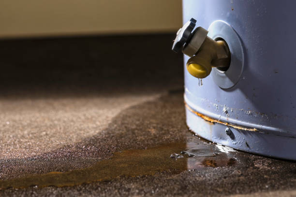 Best 24-hour water damage restoration  in Pretty Bayou, FL