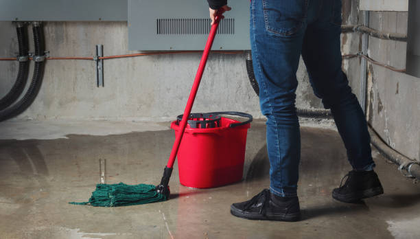 Best Flooded house restoration  in Pretty Bayou, FL