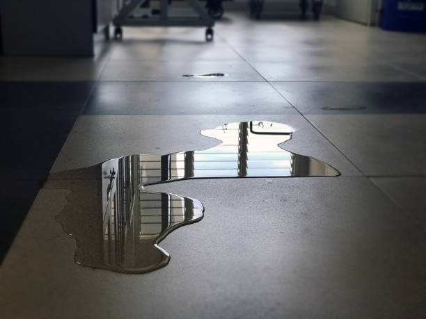 Best Water damage contractors near me  in Pretty Bayou, FL