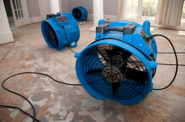 Best Carpet water damage restoration  in Pretty Bayou, FL