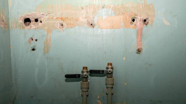Best Water damage restoration insurance claims  in Pretty Bayou, FL
