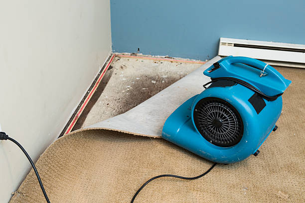 Best Ceiling water damage repair  in Pretty Bayou, FL